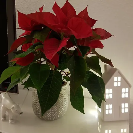 Apartman Wygodny Dwupokojowy Pomiedzy Lotniskiem A Centrum